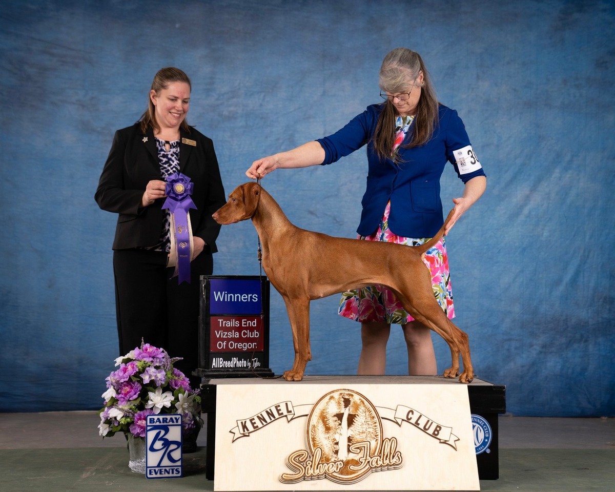 Jaybren's Color Of The Wind At Tierah