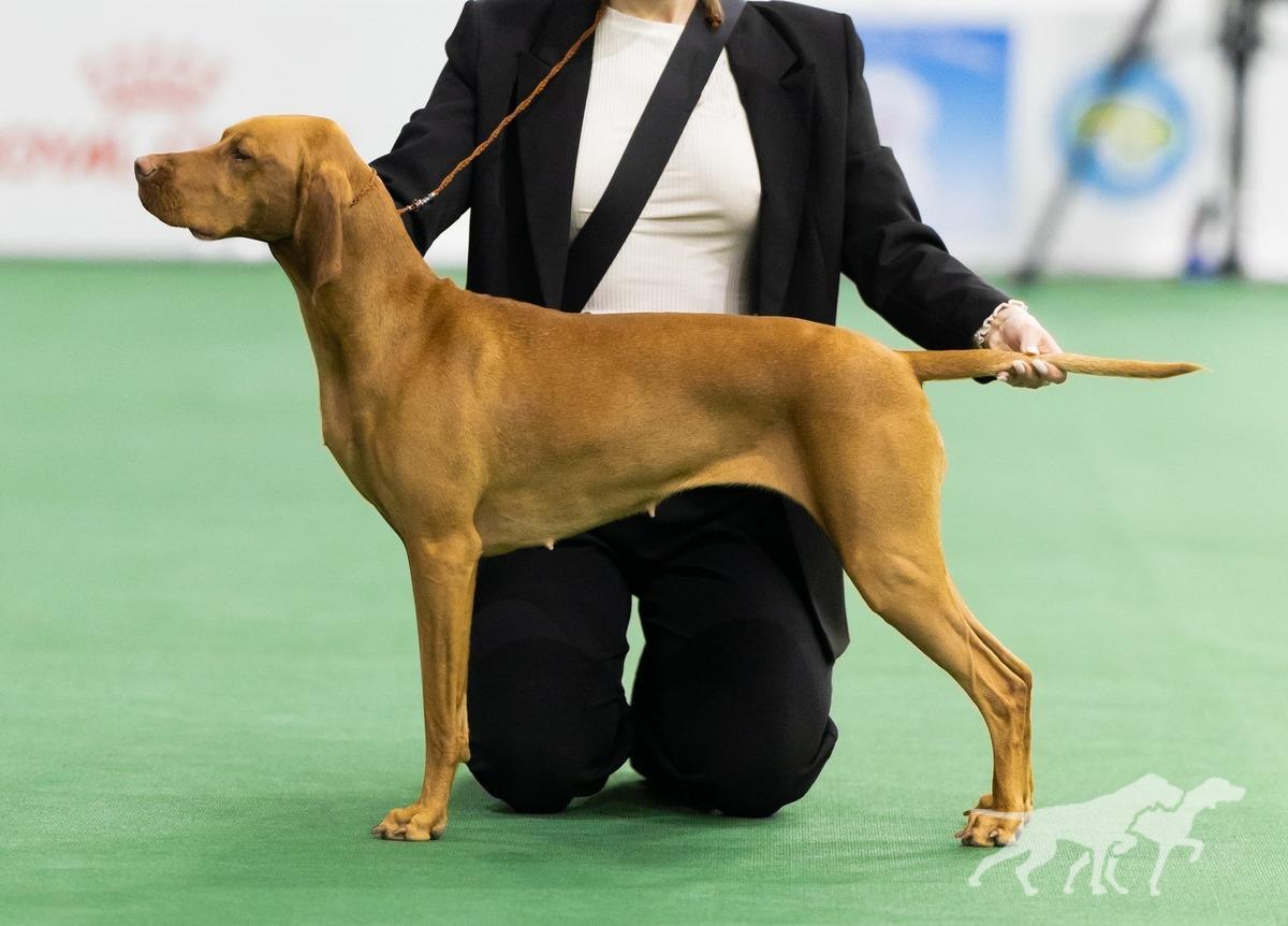 Afina (UKU R0076024)