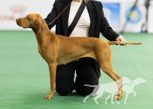 Afina (UKU R0076024)