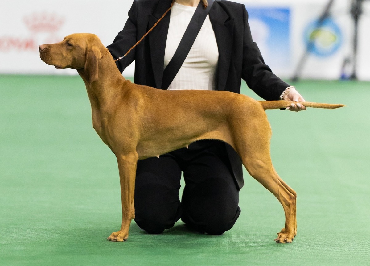 Afina (UKU R0076024)