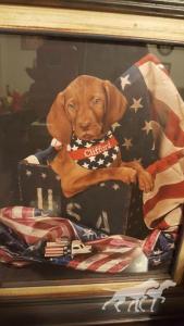 Clifford My Big Red Dog Of Linden