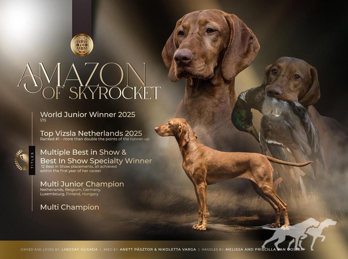 Amazon of Skyrocket