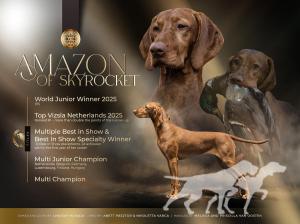 Amazon of Skyrocket