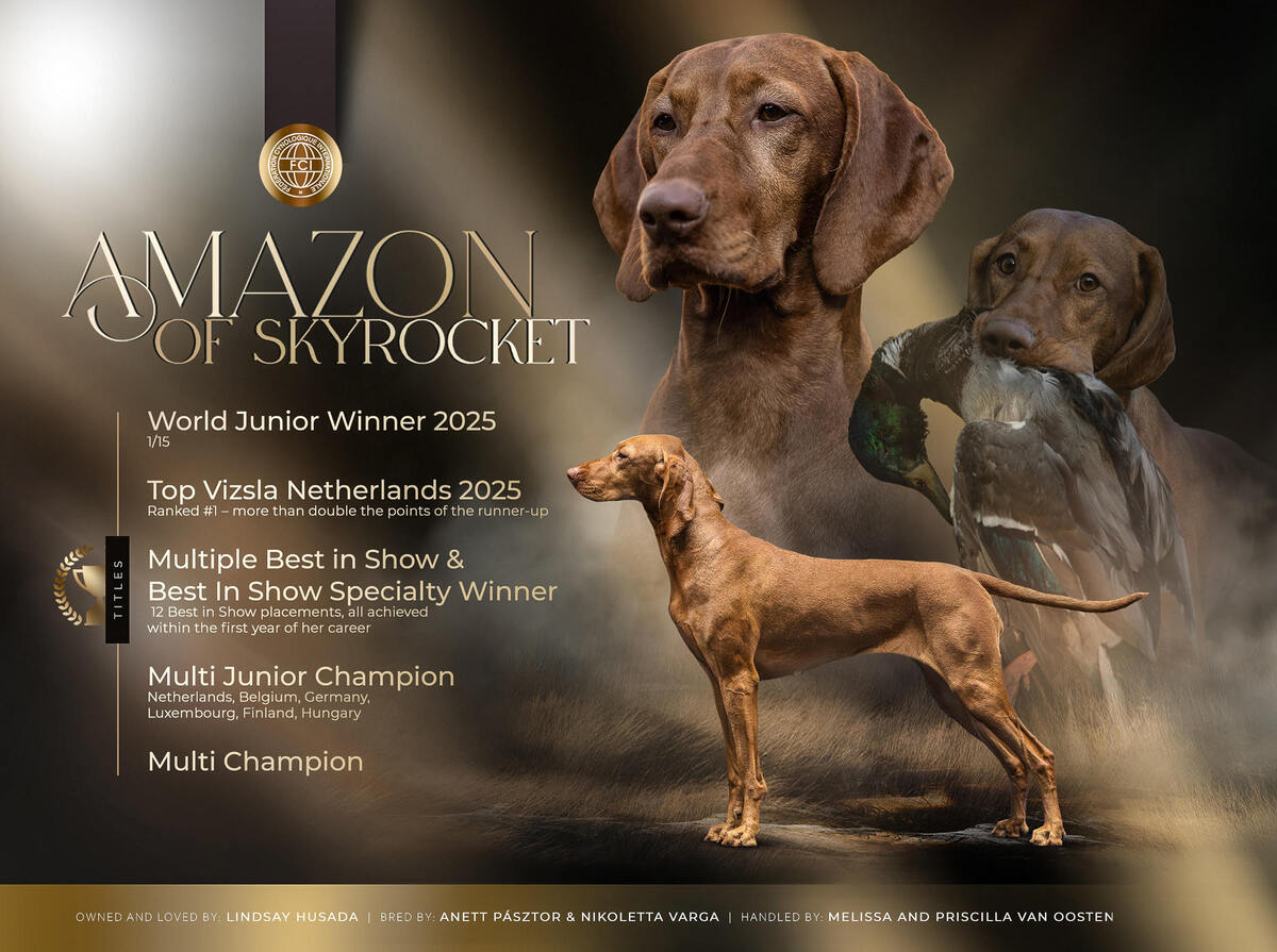 Amazon of Skyrocket