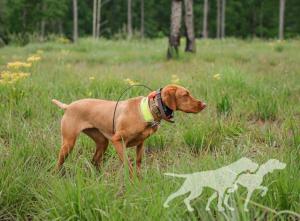 Trailside's Queen Of Ceylon
