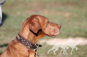 Copper Creek Cowboy