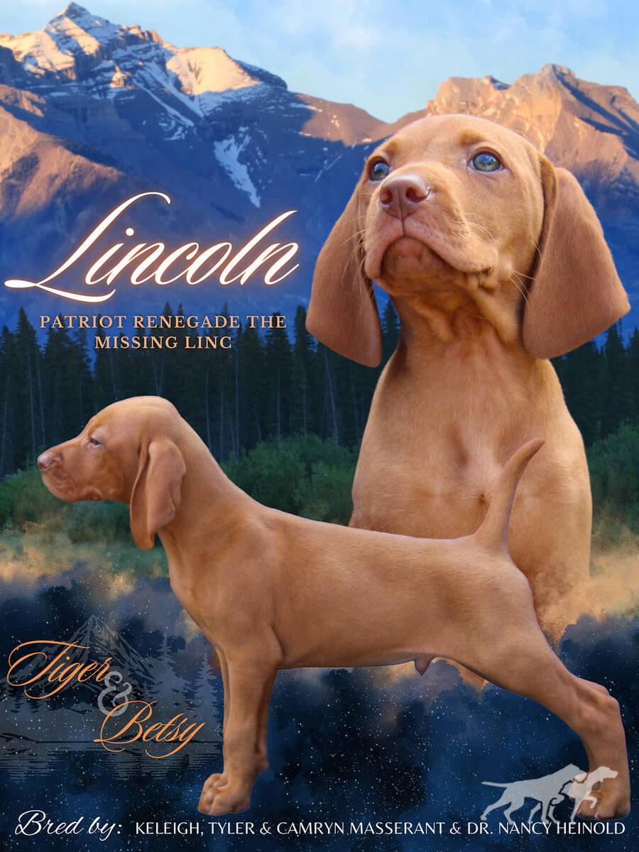 Patriot Renegade The Missing Linc