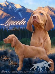 Patriot Renegade The Missing Linc