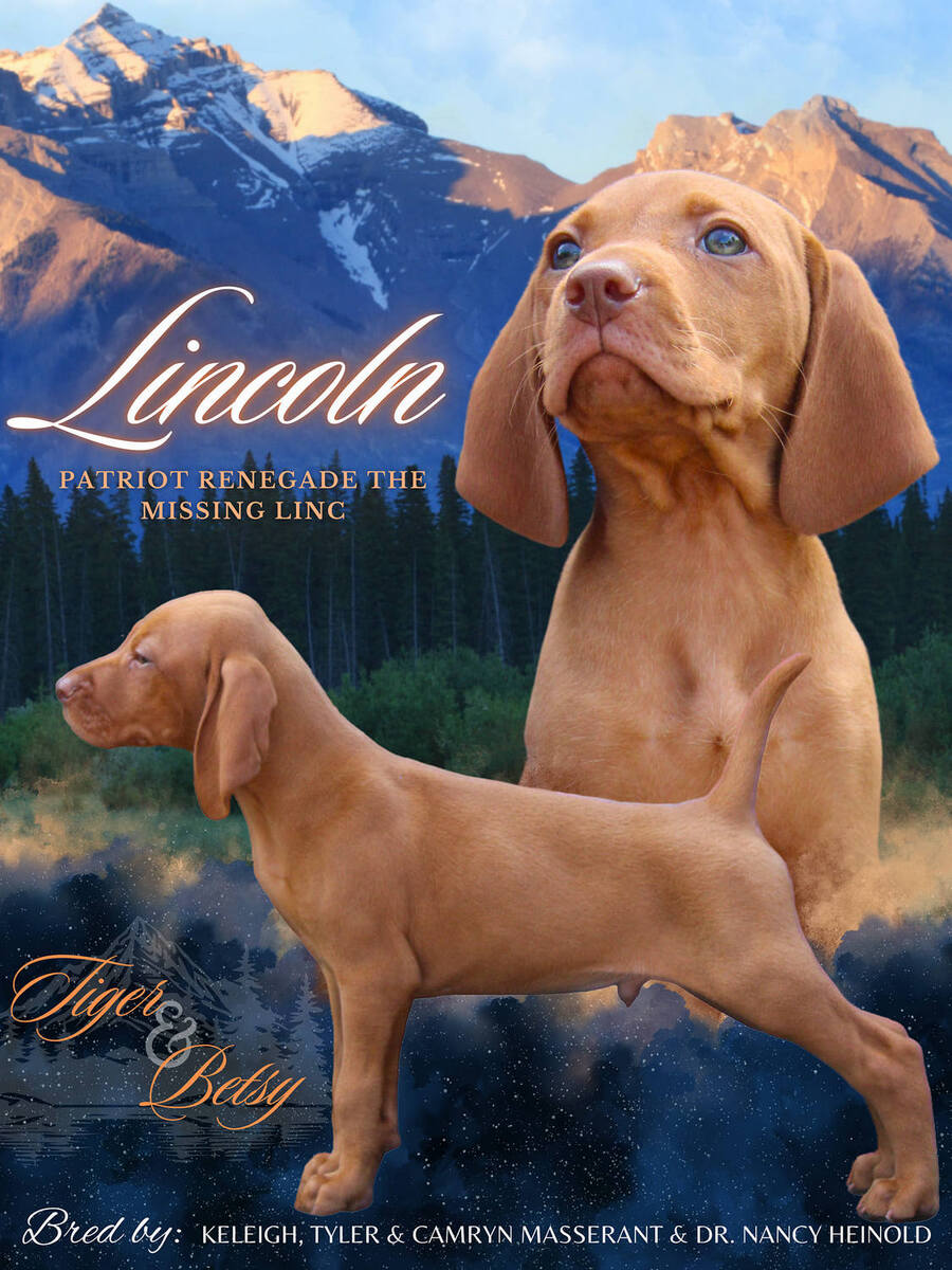Patriot Renegade The Missing Linc