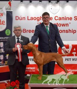 Green Valley Stars Xavia for Wooferside