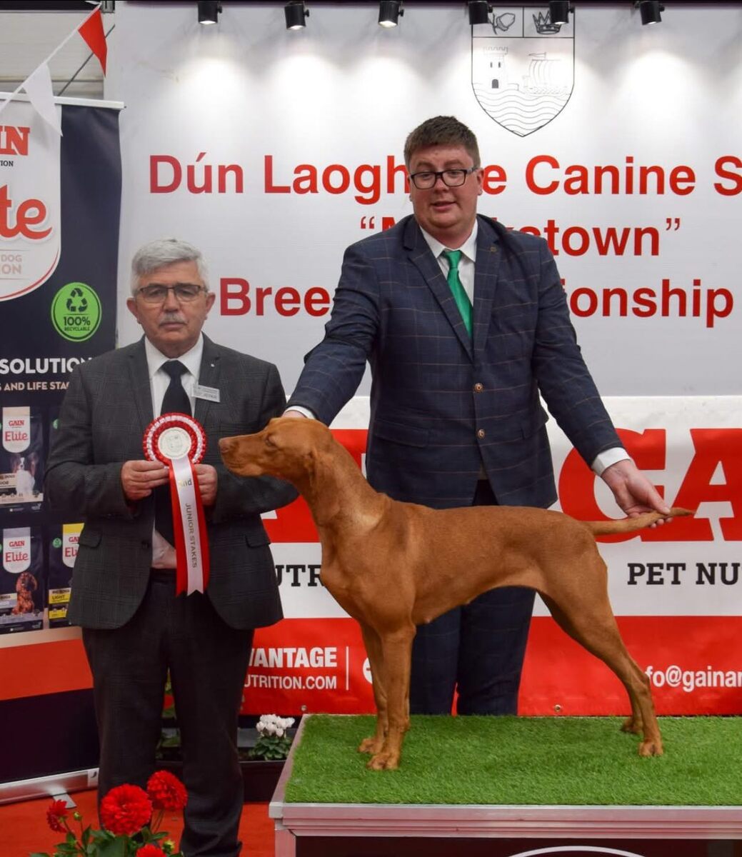 Green Valley Stars Xavia for Wooferside