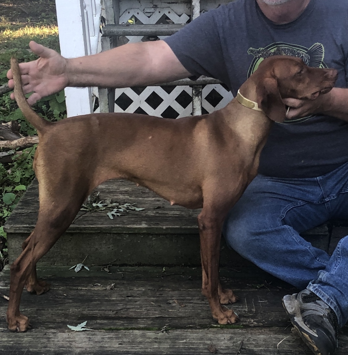 Pepper Of Skoglundfarm