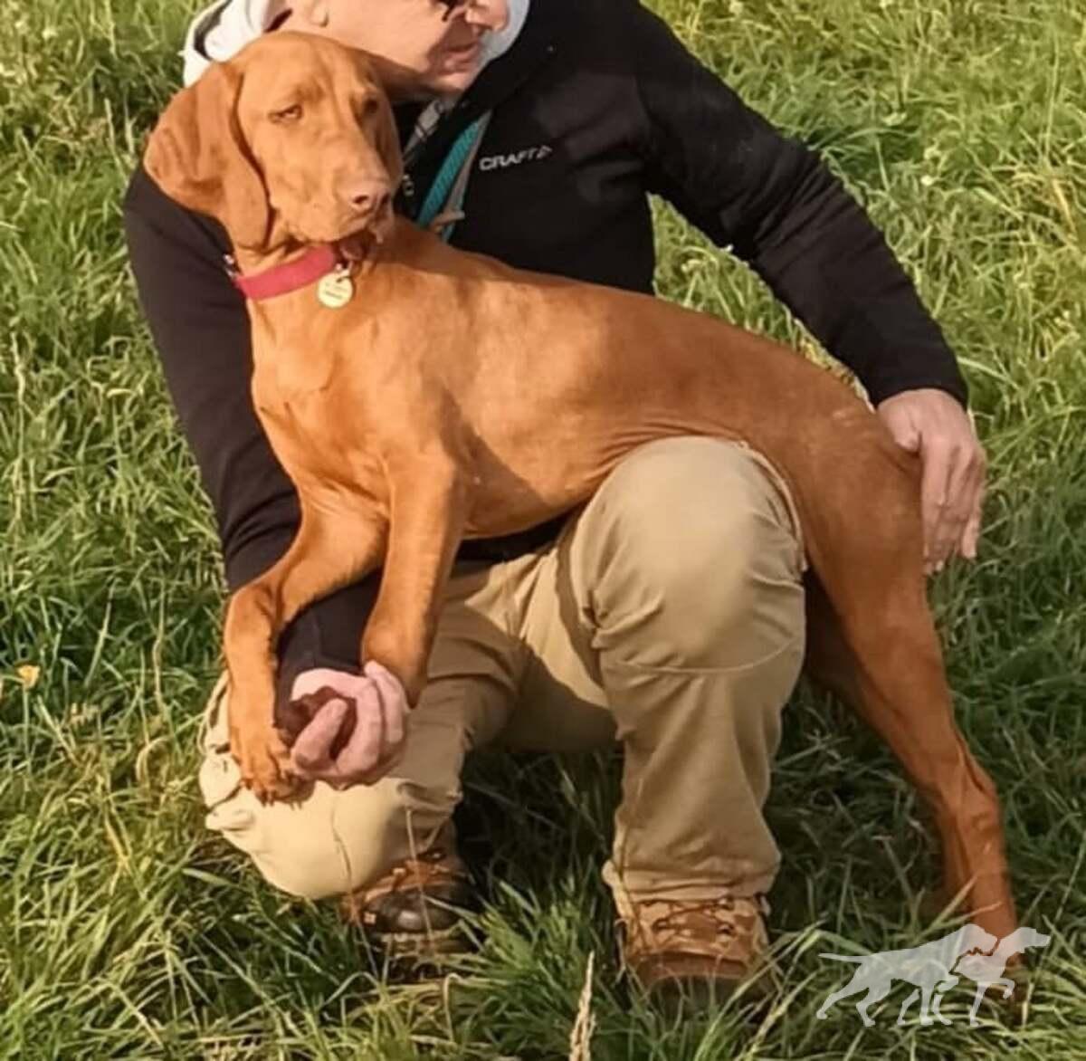 Bentley Ginger Destiny