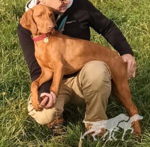 Bentley Ginger Destiny
