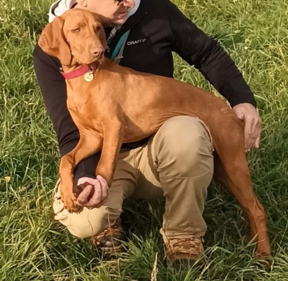 Bentley Ginger Destiny