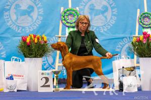 Regal Classic Magyar Tim
