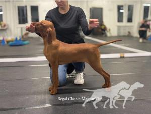 Regal Classic Magyar Tim