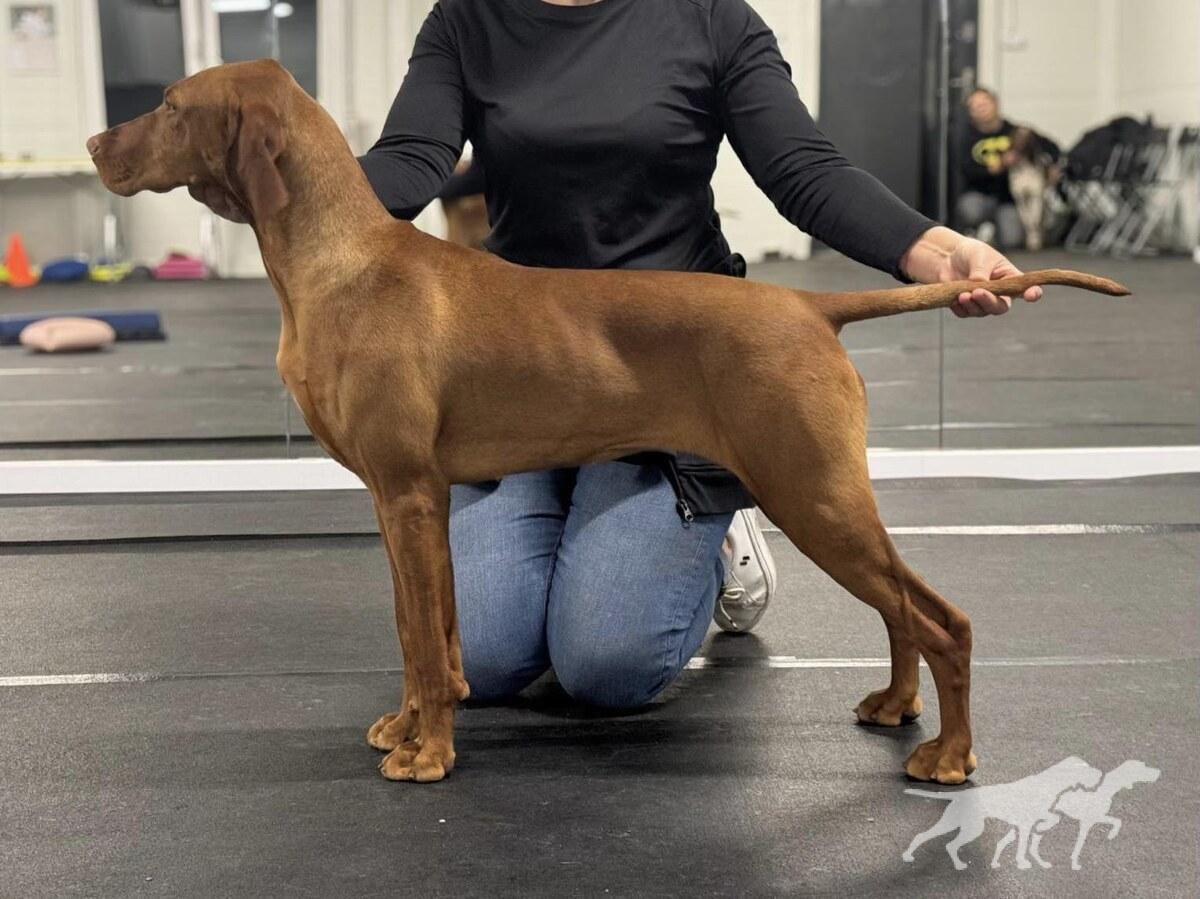 Bella Bianca Magyar Tim
