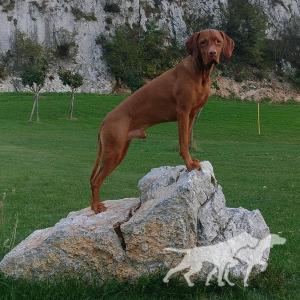 Magasparti Rutinos Ebalon