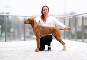 Valentina Sandrido's Star