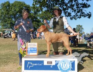Cave Canis Kincsem Budapest