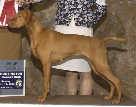 Legacy's Ruby Tuesday v Trimill