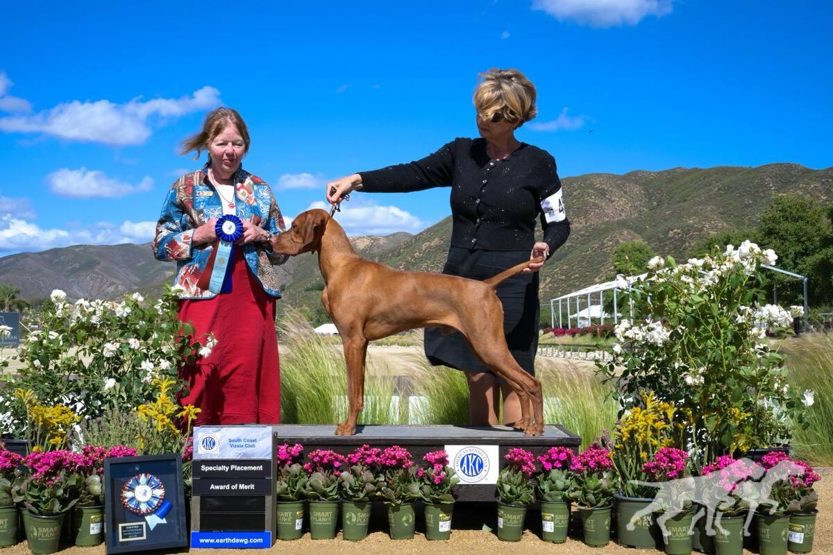Sierra Ridge Titan Of Dreams