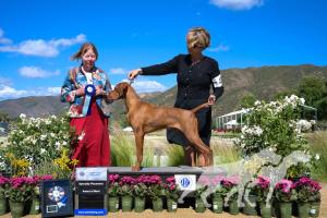 Sierra Ridge Titan Of Dreams