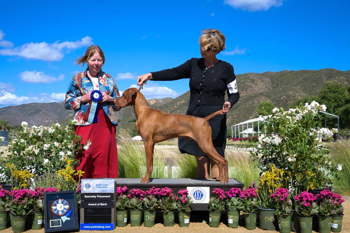 Sierra Ridge Titan Of Dreams