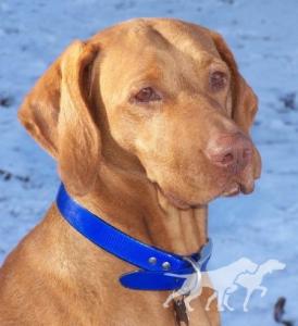 Rab Lali Reddog Ranch Tacoma