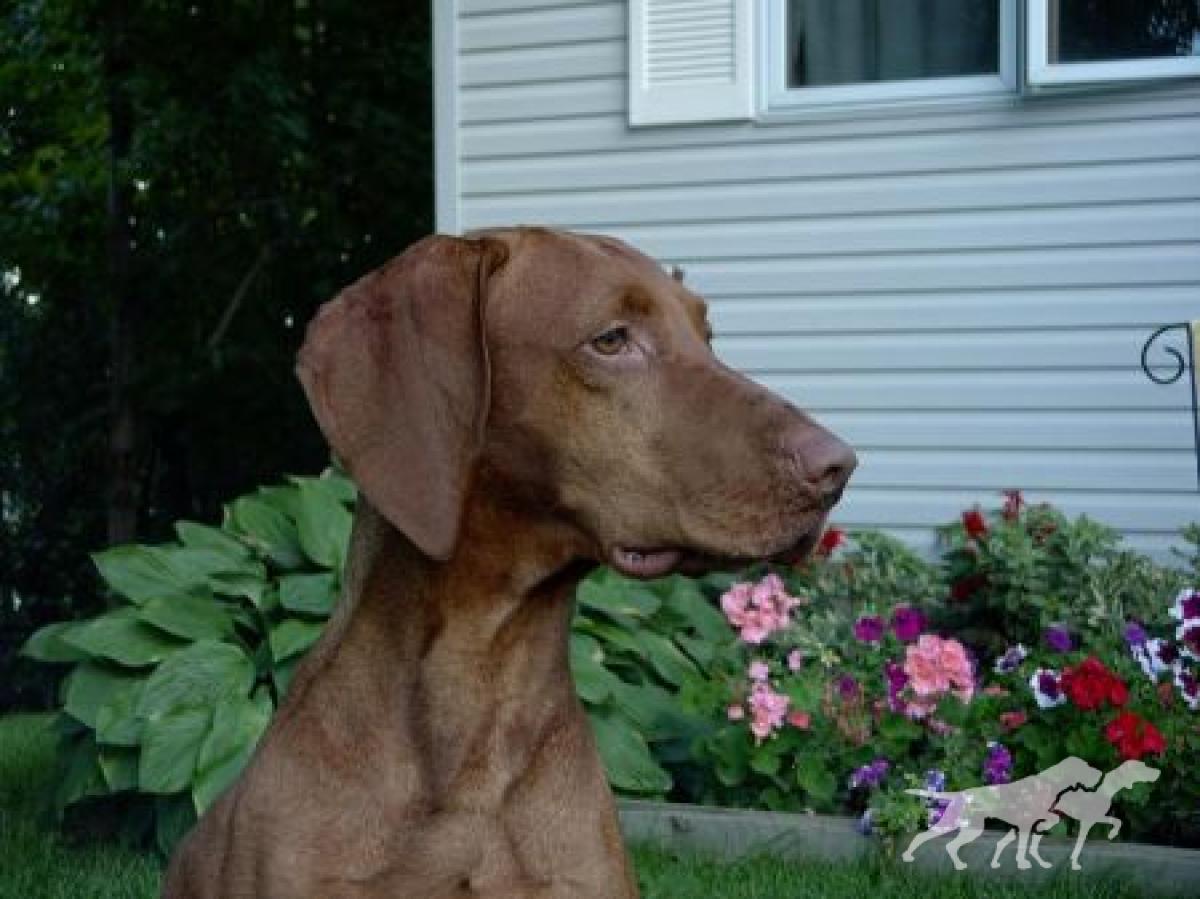 Trisha Cruiser's Radar