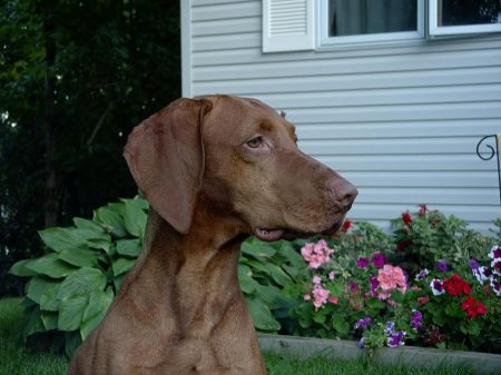 Trisha Cruiser's Radar