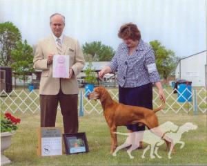Trisha Cruiser's Radar