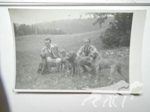 Panni XV