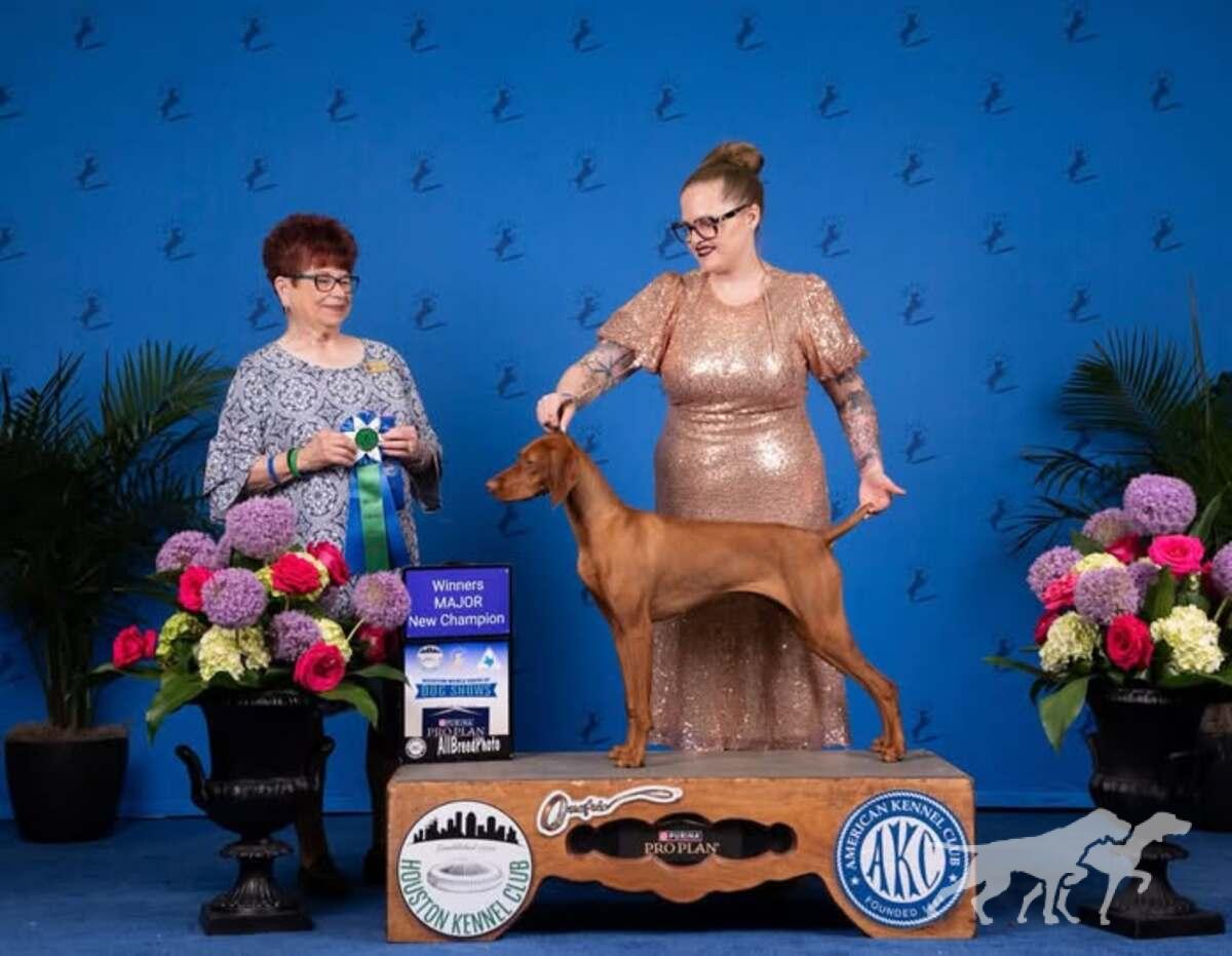 Aviana's The Bold And The Bean-Iful
