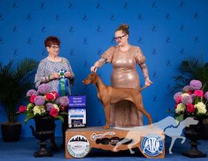 Aviana's The Bold And The Bean-Iful