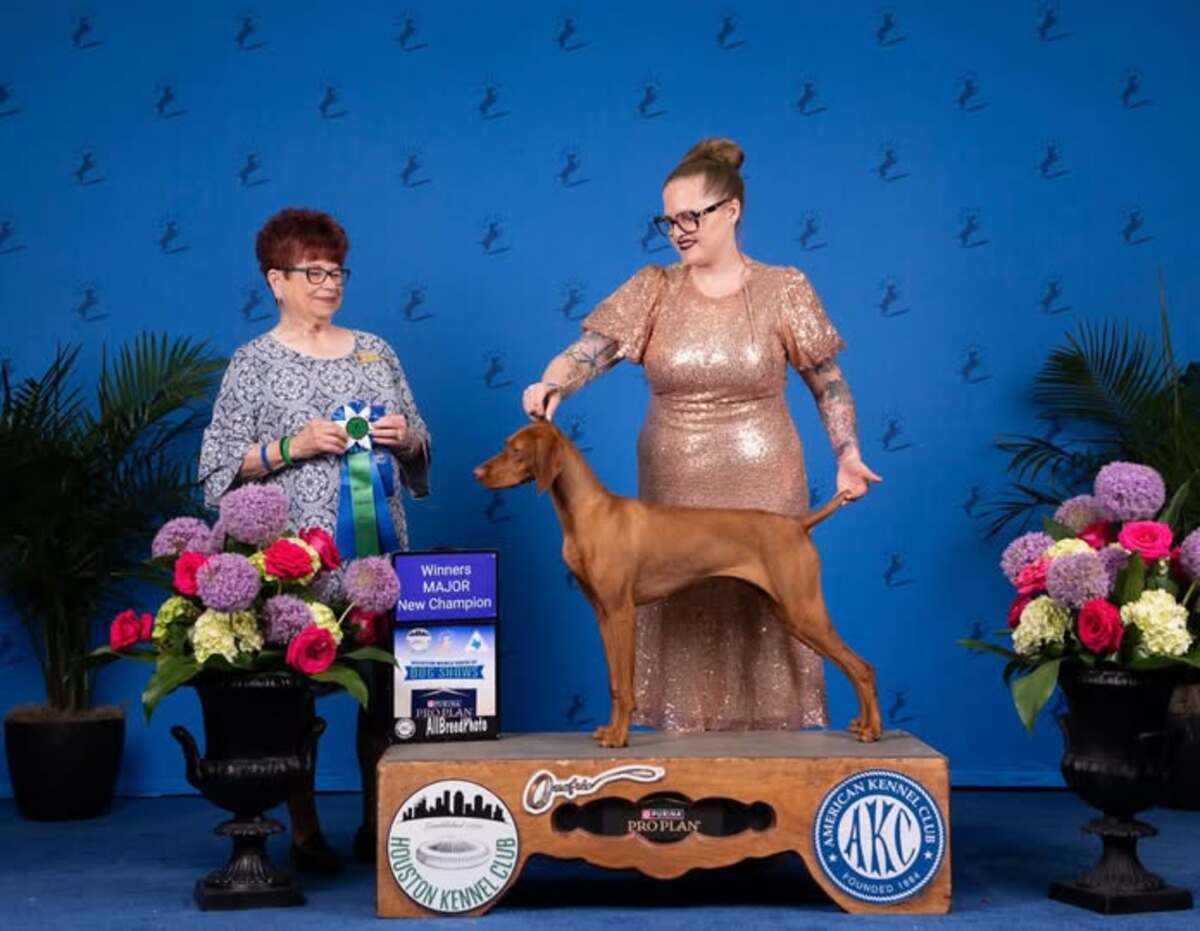 Aviana's The Bold And The Bean-Iful
