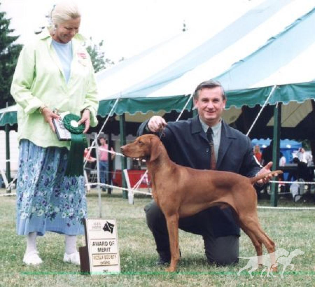 Bajnok Grand National