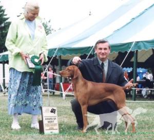 Bajnok Grand National