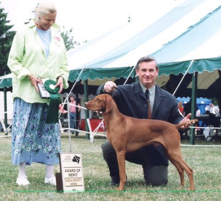 Bajnok Grand National