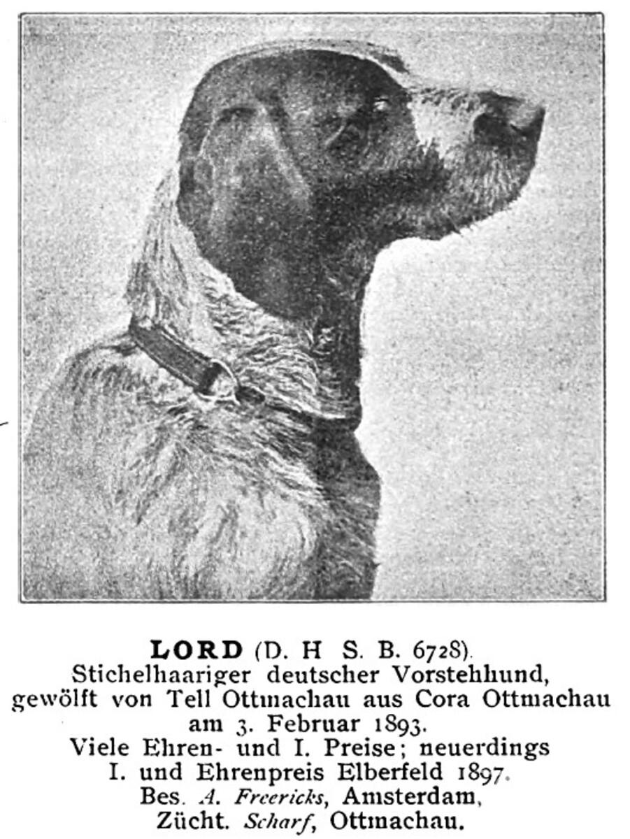 Lord Ottmachau (DSt)