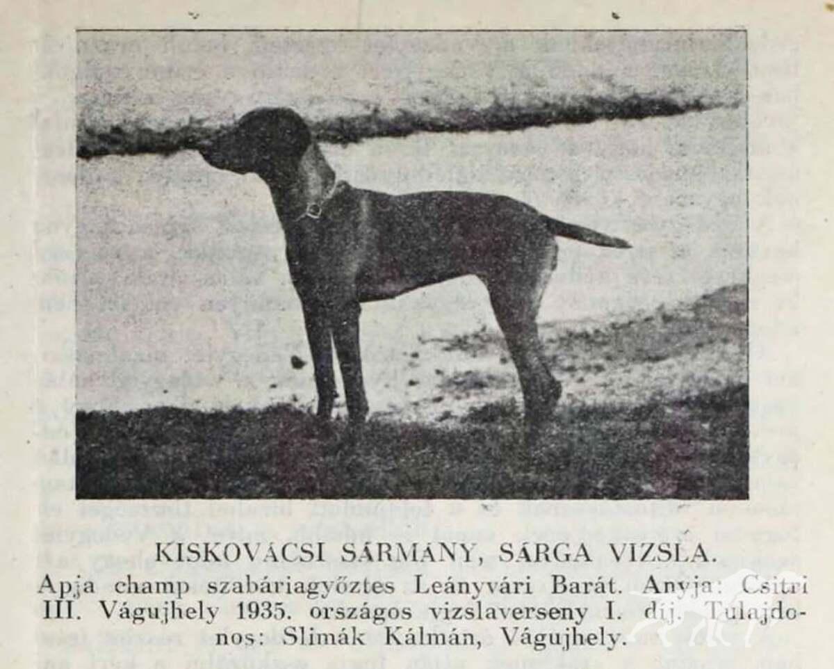 Kiskovácsi Sármány