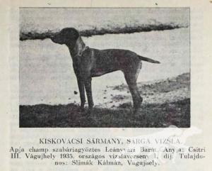 Kiskovácsi Sármány