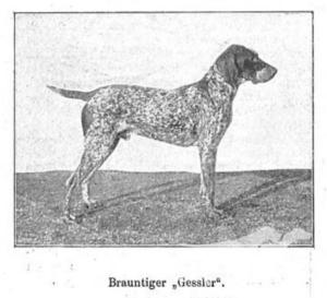 Gessler (DK)