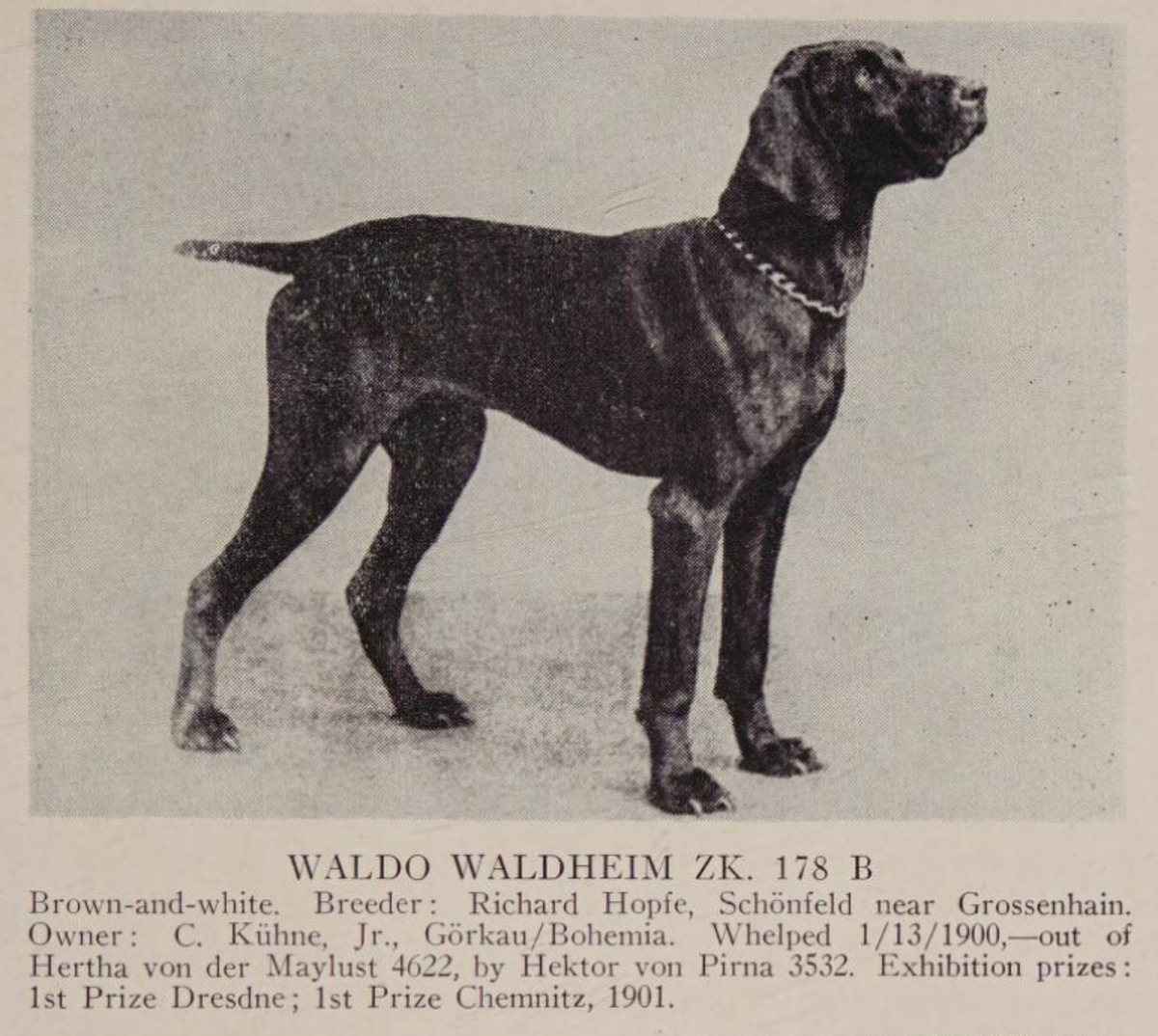 Waldo Waldheim (DK)