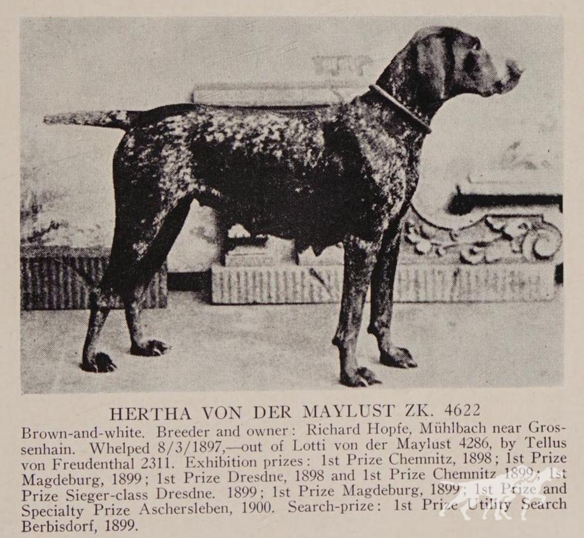 Hertha von der Maylust (DK)