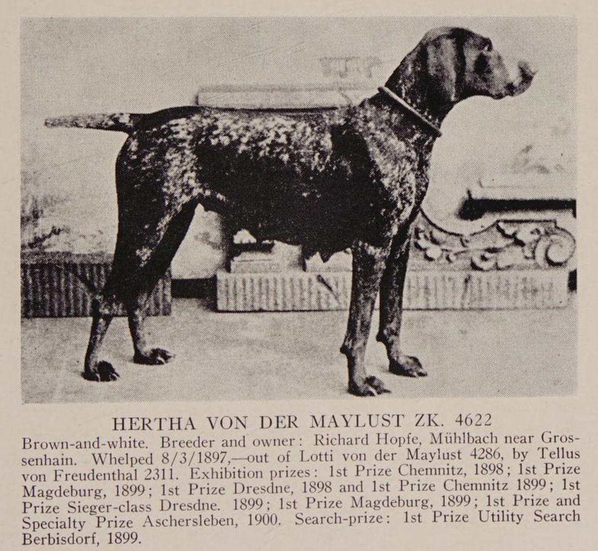 Hertha von der Maylust (DK)