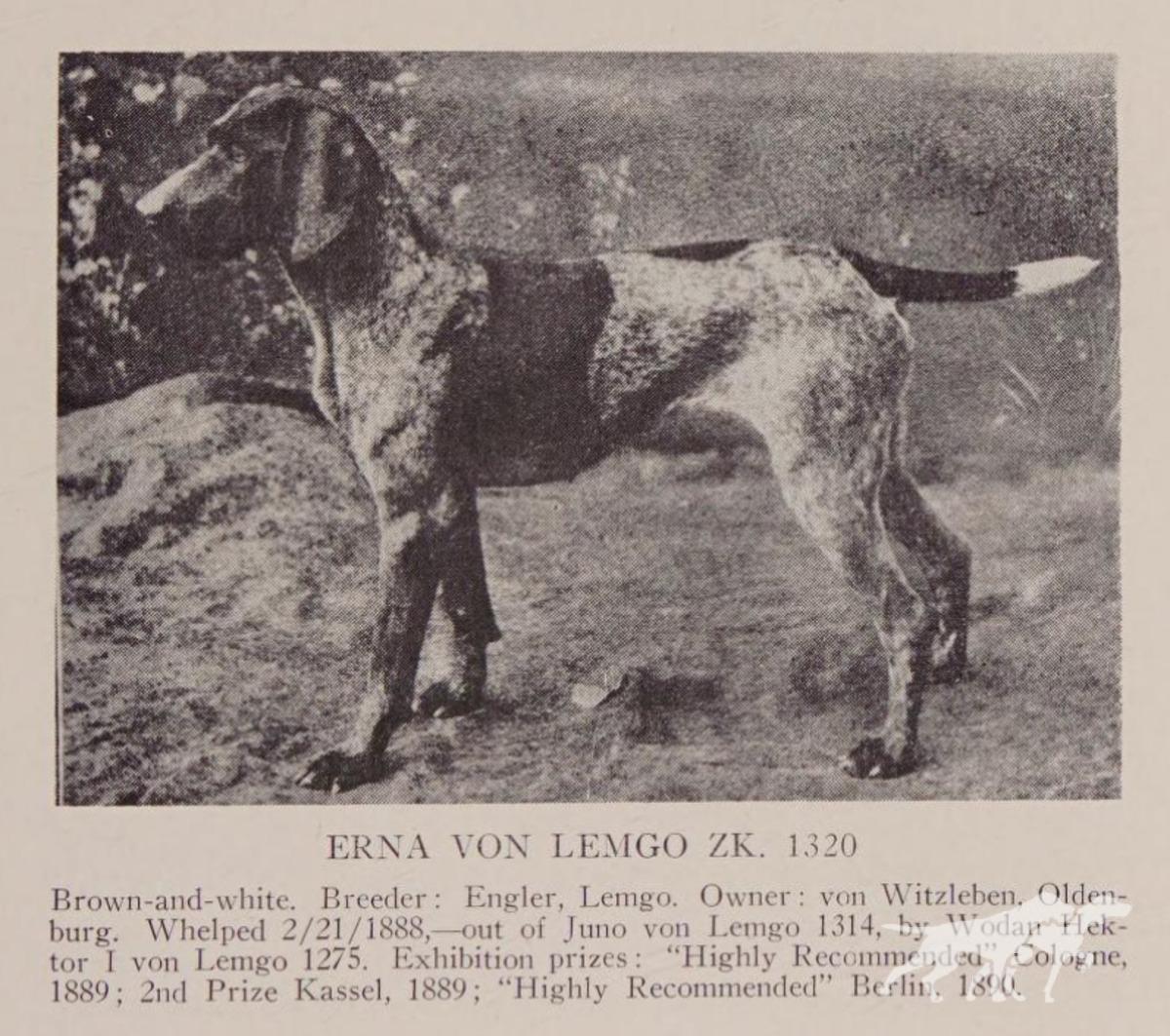 Erna von Lemgo (DK)