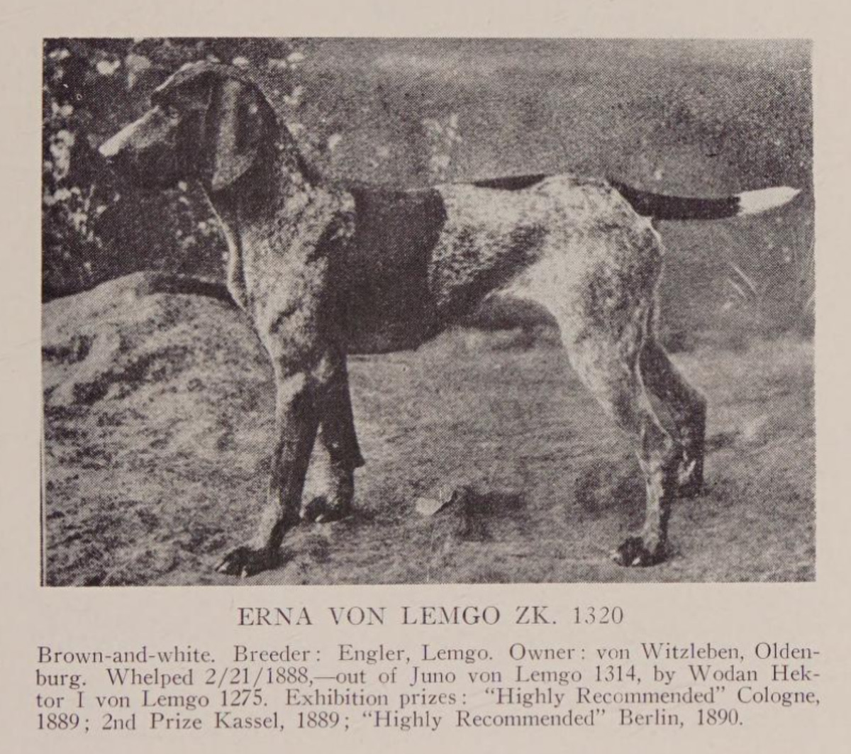 Erna von Lemgo (DK)