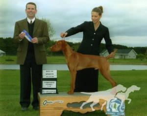 Jnek's Chairman Of The Board